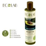 zrównoważony szampon do przetłuszczających się włosów 250ml ecolab