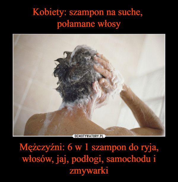 szampon dla mężczyzn meme