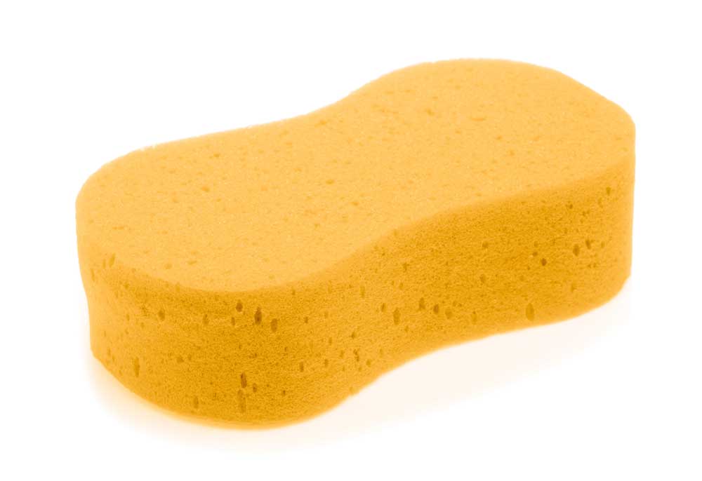 Sponge