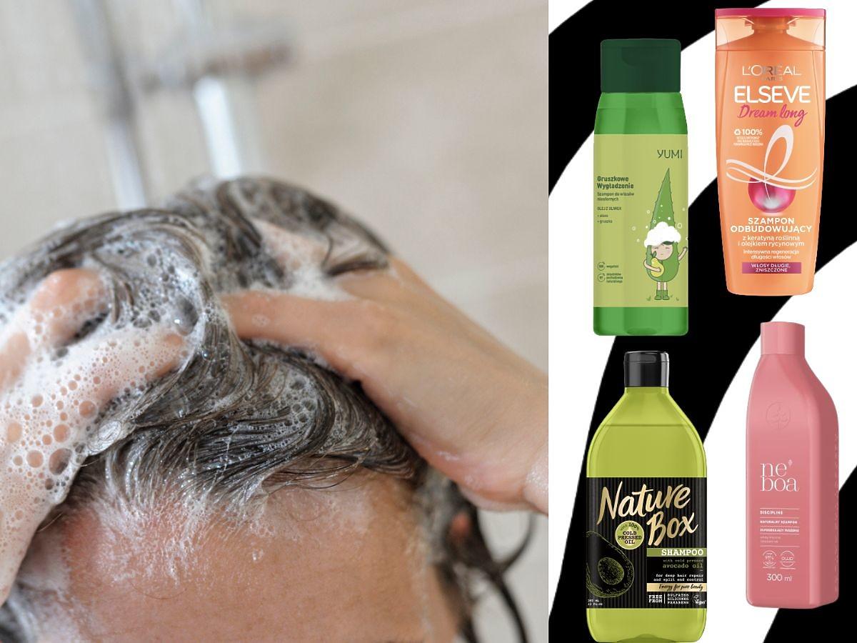 matrix biolage scalpsync normalizing szampon opinie