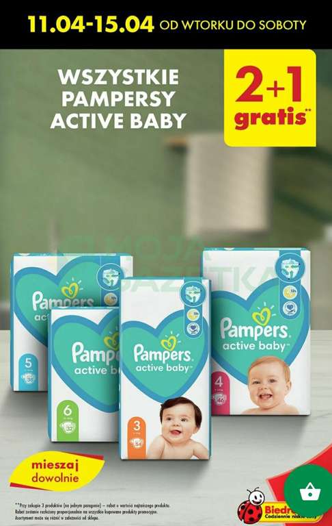 biedronka pampers activ baby