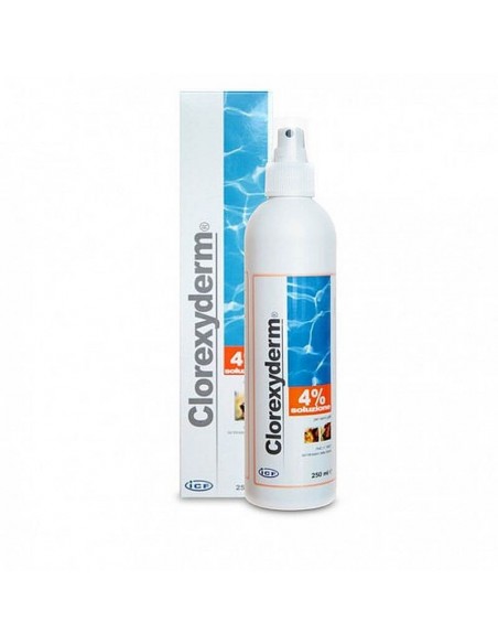 clorexyderm szampon 100 ml cena