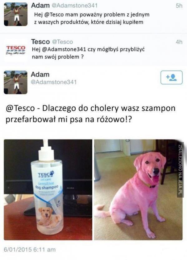 tesco szampon dla psow