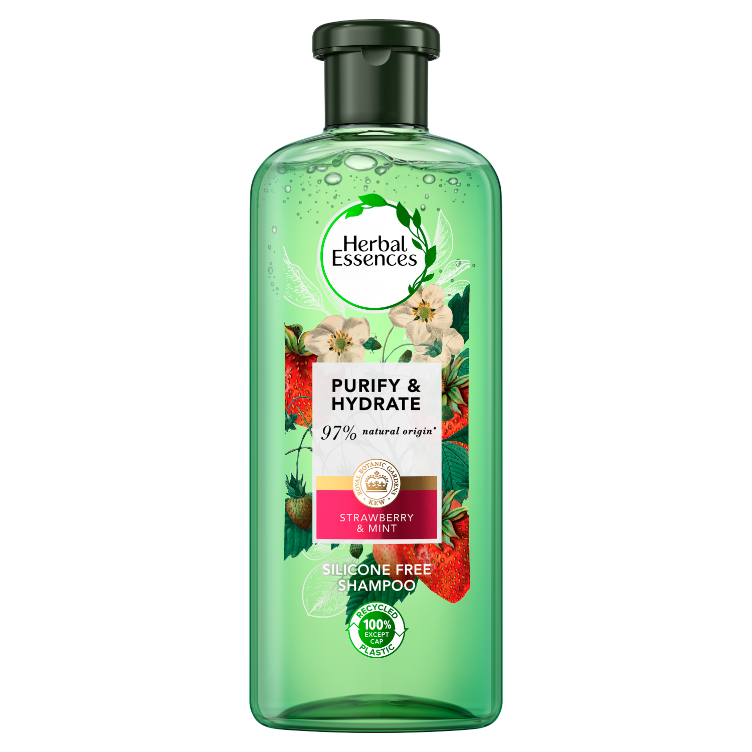 szampon do włosów herbal essences cena