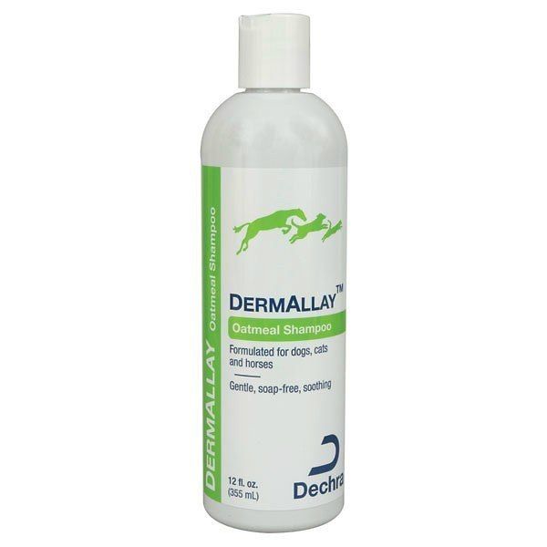 dermallay oatmeal szampon