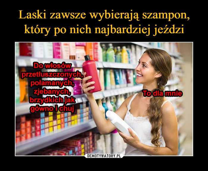 laski zawsze wybierają szampon który najbardziej po nich jedzie