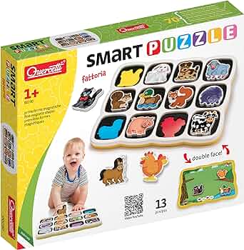 Quercetti Q0230 Magnetic puzzle