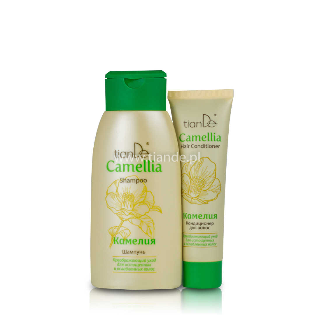 szampon innisfree zawierający olejek z kamelii japońskiej