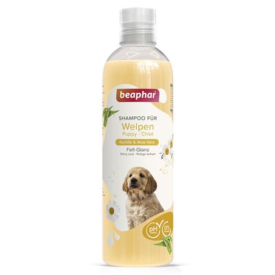 zooplus szampon dla psa