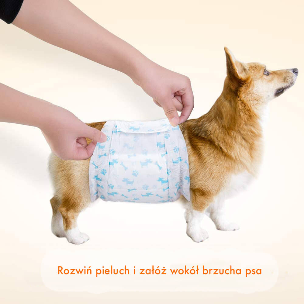 pieluchy dla starych psów