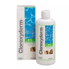 clorexyderm szampon 100 ml cena