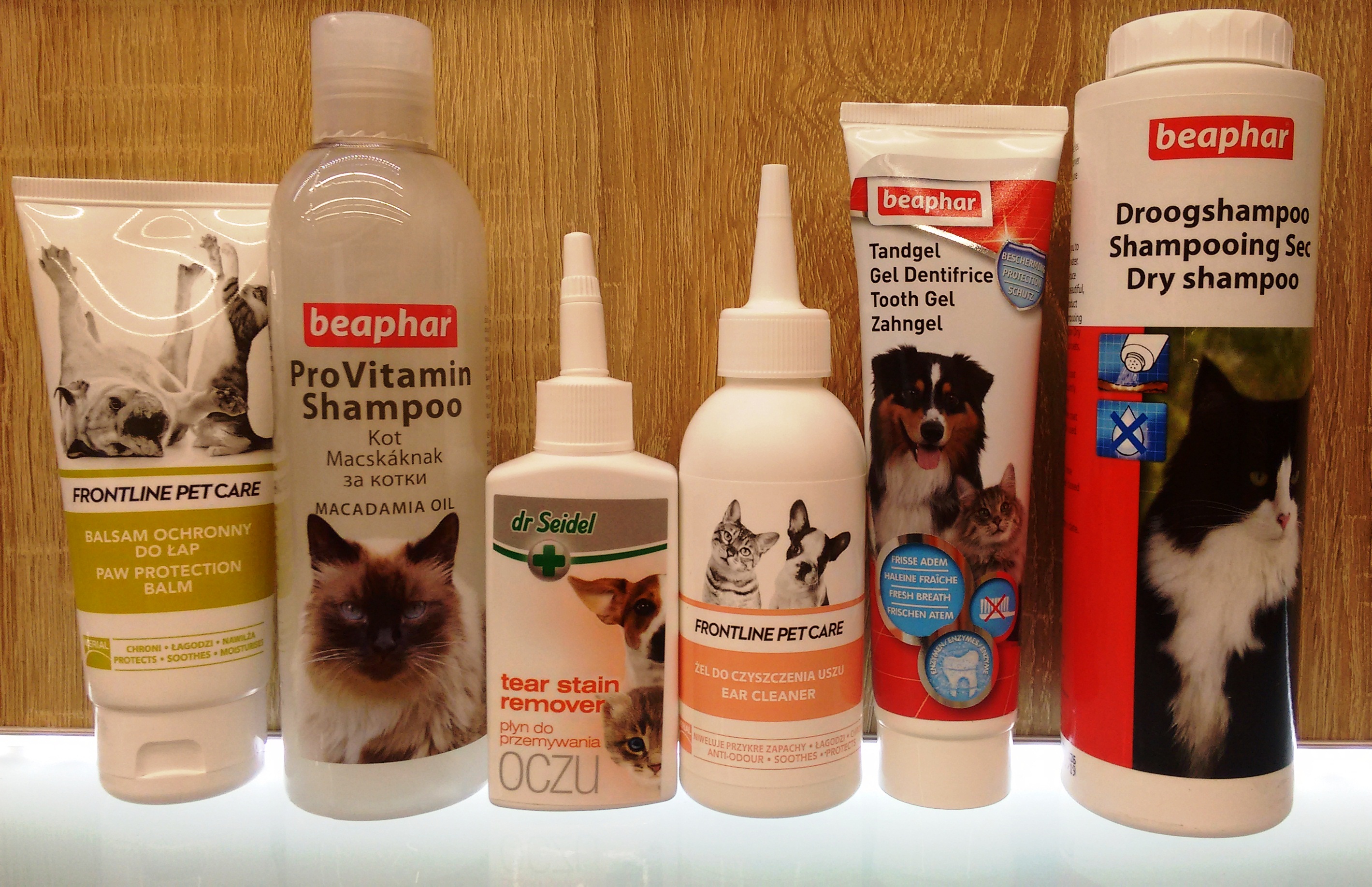 szampon na świerzb u kota