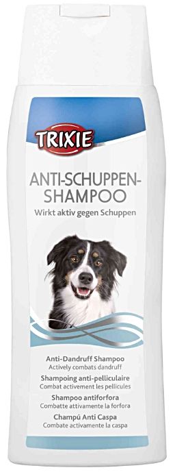 dobry szampon przeciwłupieżowy dla psa