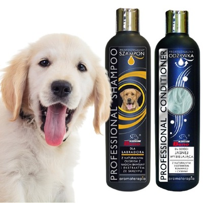 hipoalergiczny szampon dla golden retrievera