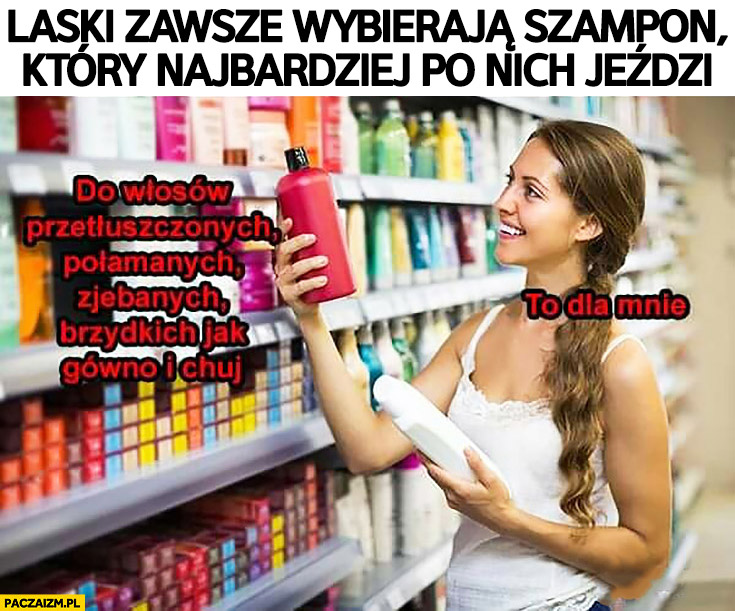 laski zawsze wybieraja szampon ktory najbardziej po nich jezdzi