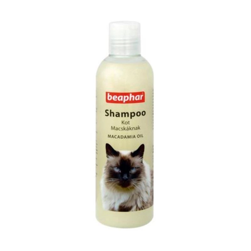 szampon dla kota ragdolla