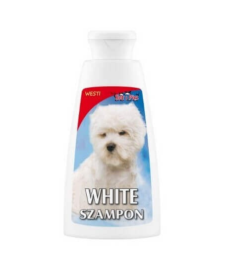 szampon dla kotów z białą sierścią