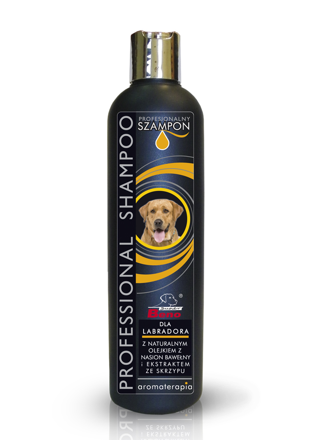 szampon dla psa labradora