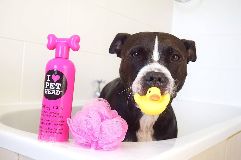 szampon dla zwierząt pet head lifes an itch