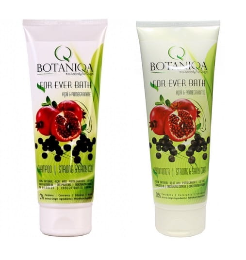 szampon i odżywka botaniqa