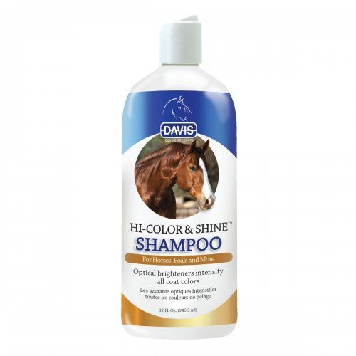 szampon i odżywka dla konia allegro
