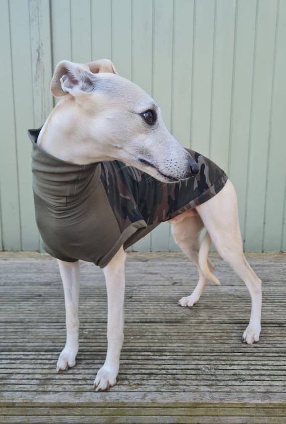 whippet pieluchy